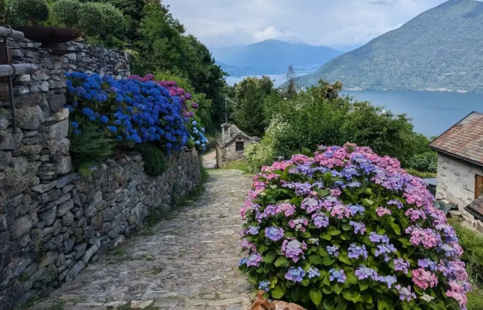 Gruppo Per Fare Trekking Legnano Sentieri lago Maggiore Via Delle Genti