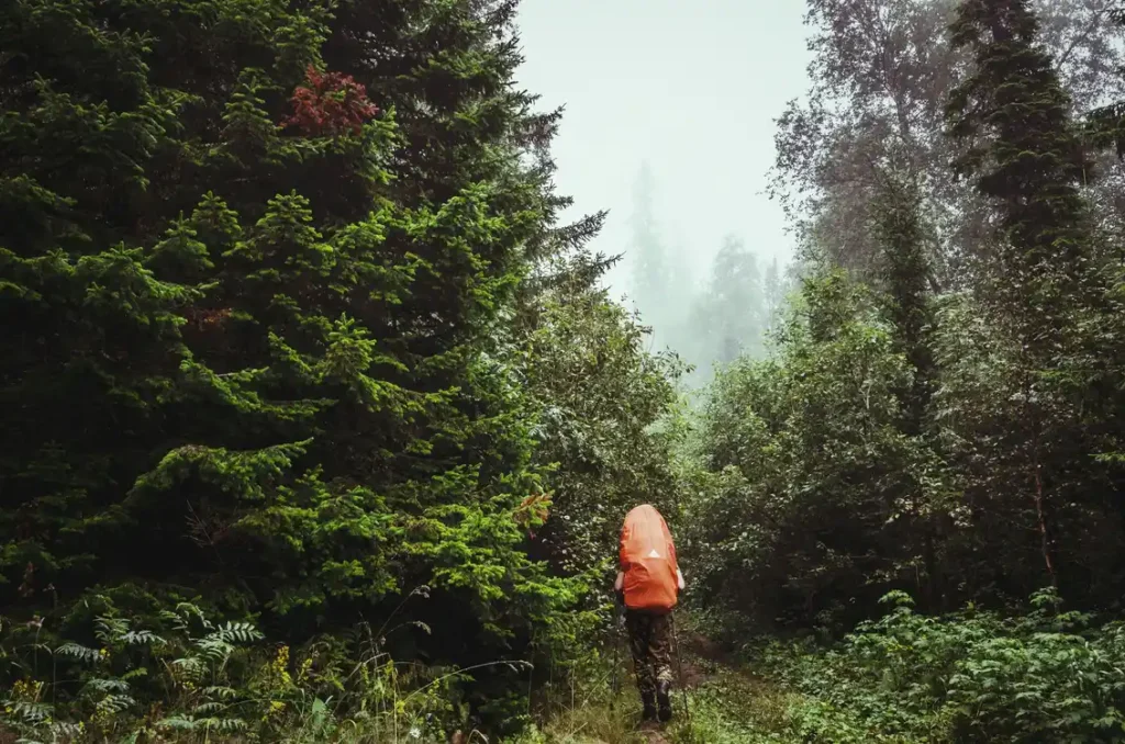 Leave No trace Significato Non Lasciare Traccia LNT Cosa Significa