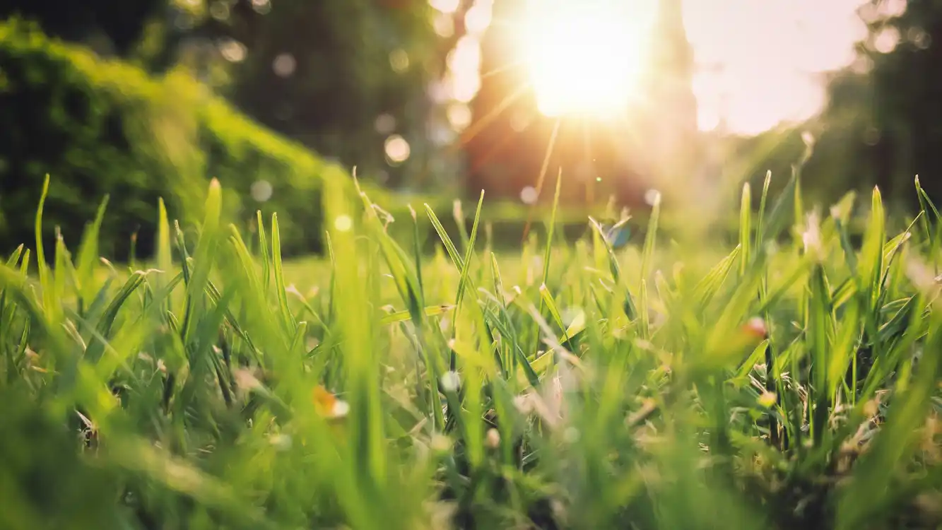 Equinozio di primavera non una data nel calendario, ma significato di cambiamento della natura e delle stagioni, tra cultura e tradizioni.