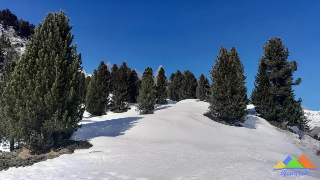 Lago Del Cavloc, Valle Del Forno escursione invernale sentiero battuto, ciaspolata, dove si trova, come arrivare, itinerario Passo Del Maloja