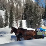 Val Roseg In Engadina, dove si trova, itinerario Invernale, dove partire, come raggiungere questa meravigliosa valle.