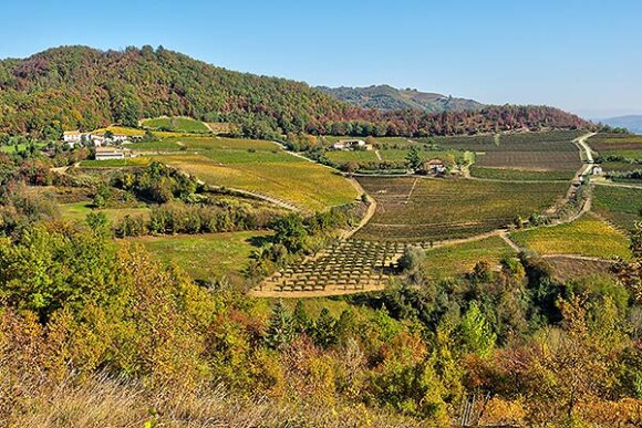 Trek Del Moscato Domenica 22 Ottobre 2023