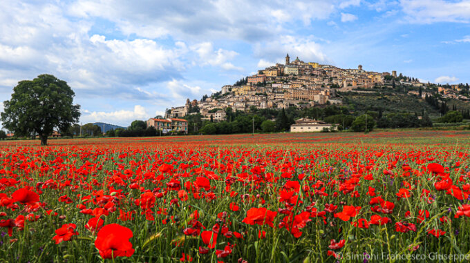 IL CAMMINO DI SAN FRANCESCO <br> LUN 29 APR 2024 - SAB 4 MAG 2024